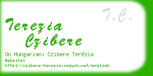 terezia czibere business card